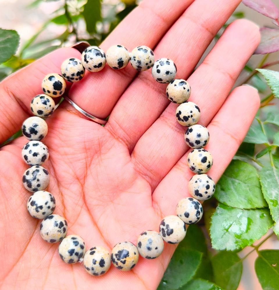 Dalmatian Jasper Bracelet - Engage Jewels